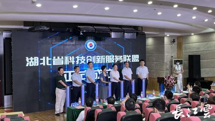 湖北省科技創(chuàng)新服務(wù)聯(lián)盟在武漢成立，共筑網(wǎng)絡(luò)技術(shù)服務(wù)新生態(tài)