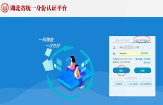 湖北政務(wù)服務(wù)網(wǎng)衛(wèi)生行政許可在線申請(qǐng)操作指南